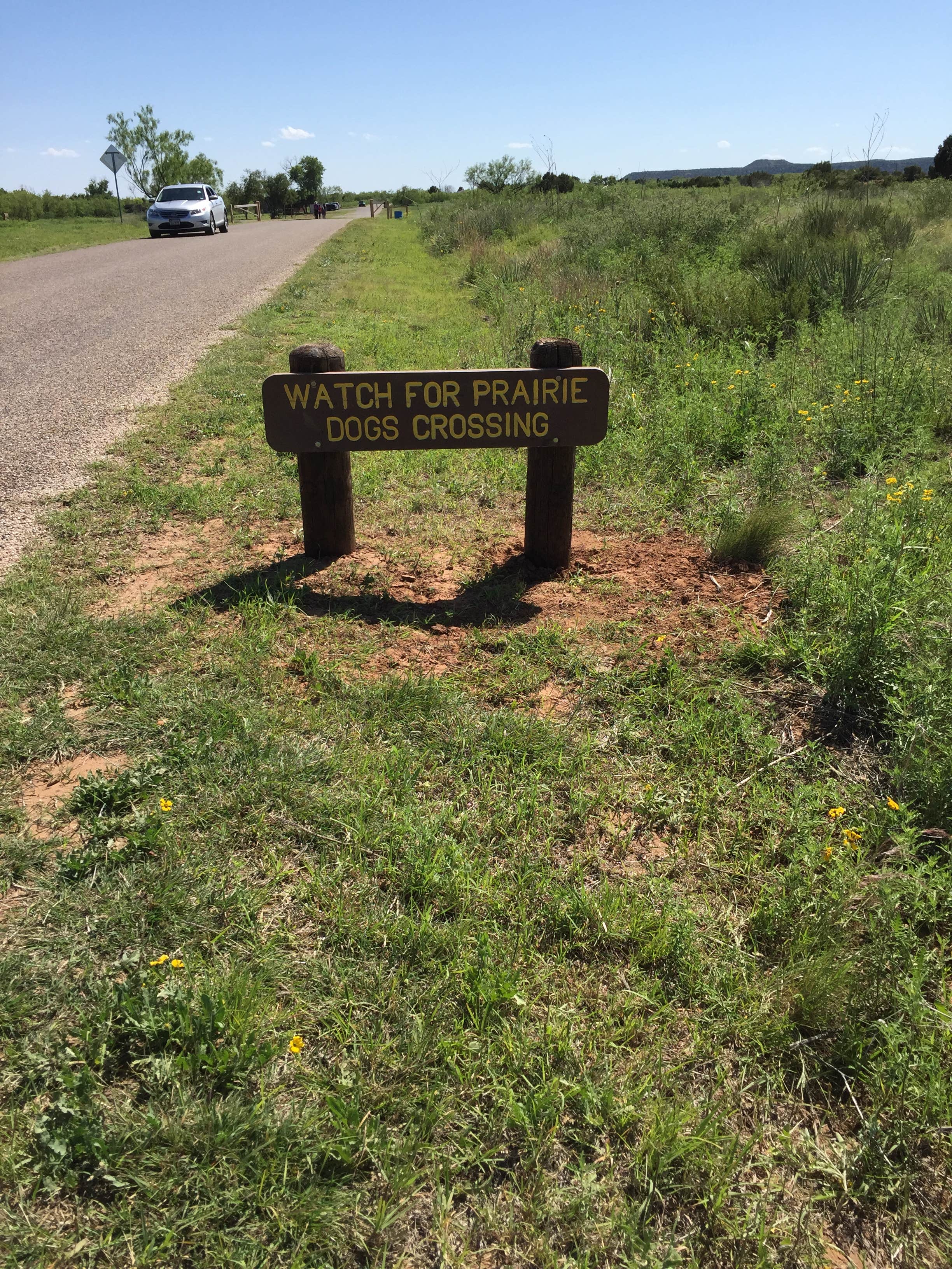 Camper submitted image from Honey Flat Camping Area — Caprock Canyons State Park - 4