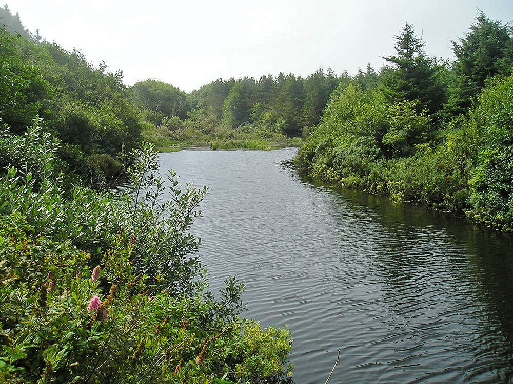 Camper-submitted photo at Thousand Trails Oceana near Ocean Shores, WA