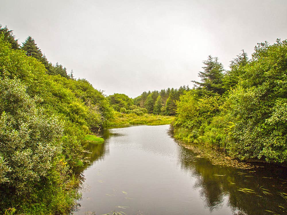 Camper-submitted photo at Thousand Trails Oceana near Ocean Shores, WA