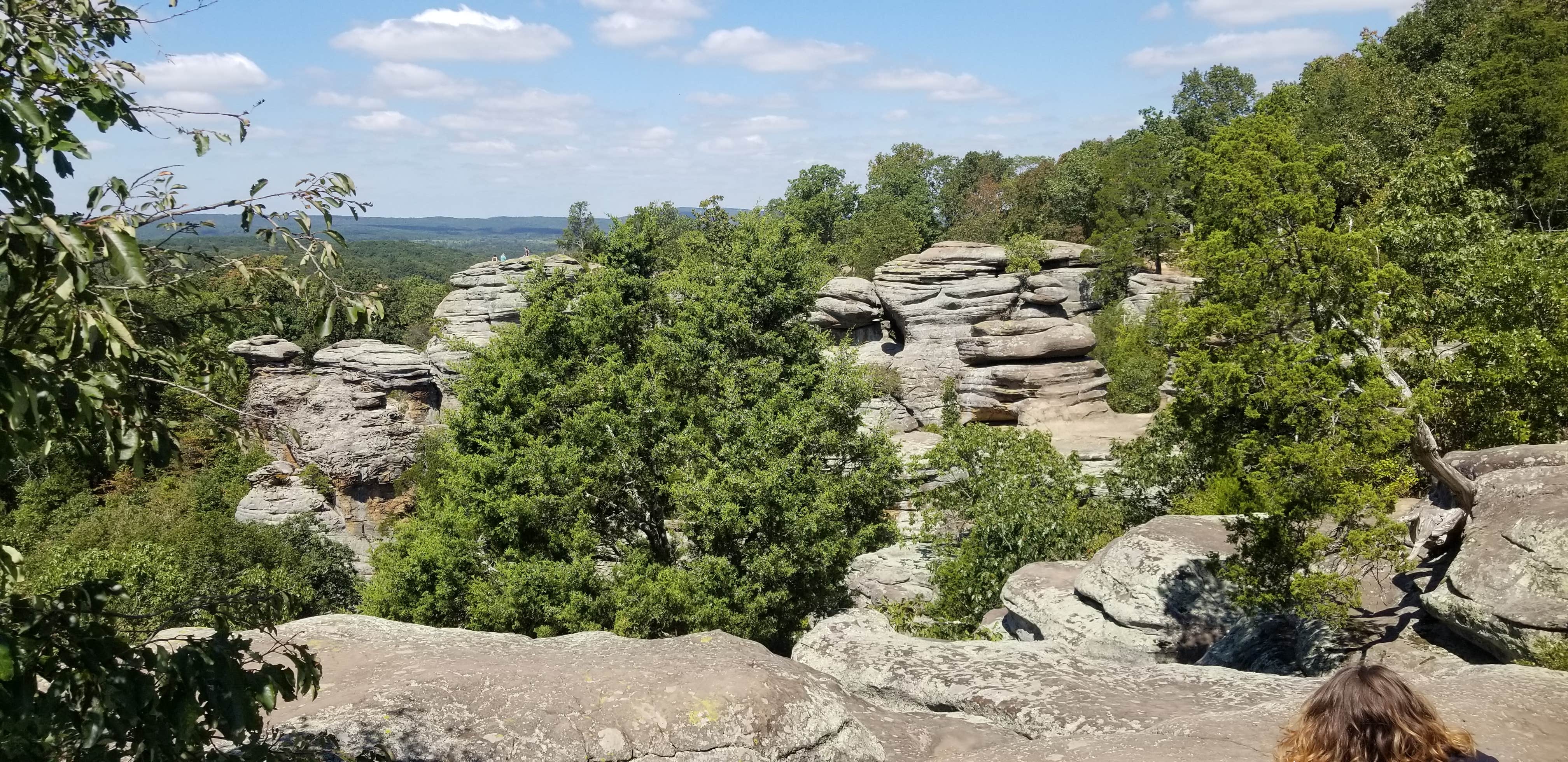 Escape to the Enchanting Wilderness: Your Guide to Pine Ridge-Pounds Hollow Recreation Area