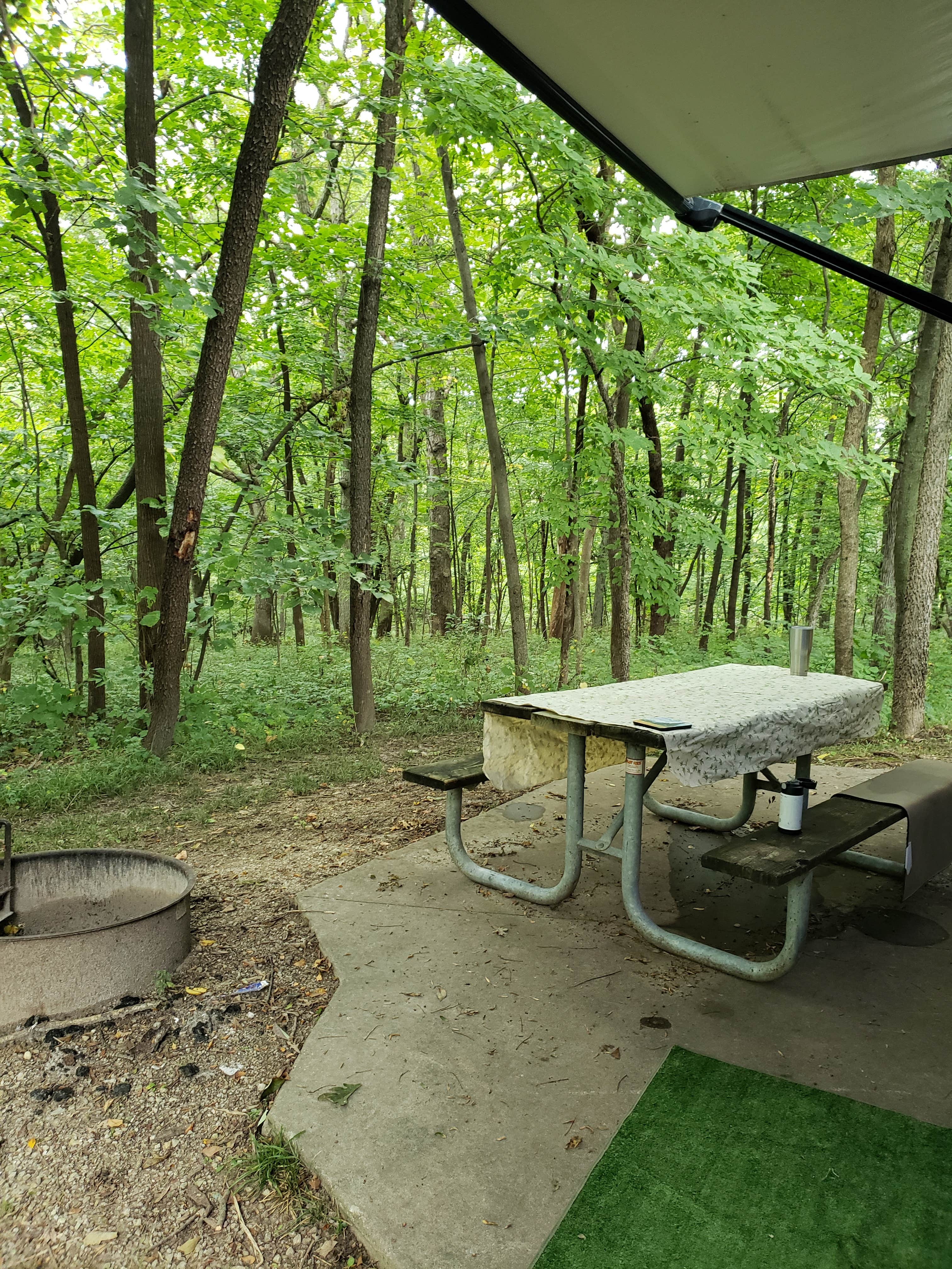Camper submitted image from Roberts Creek West Campground - 3