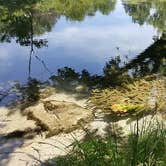 Review photo of Turner Falls Park by Brian E., August 6, 2017