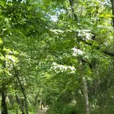 Review photo of Turner Falls Park by Brian E., August 6, 2017