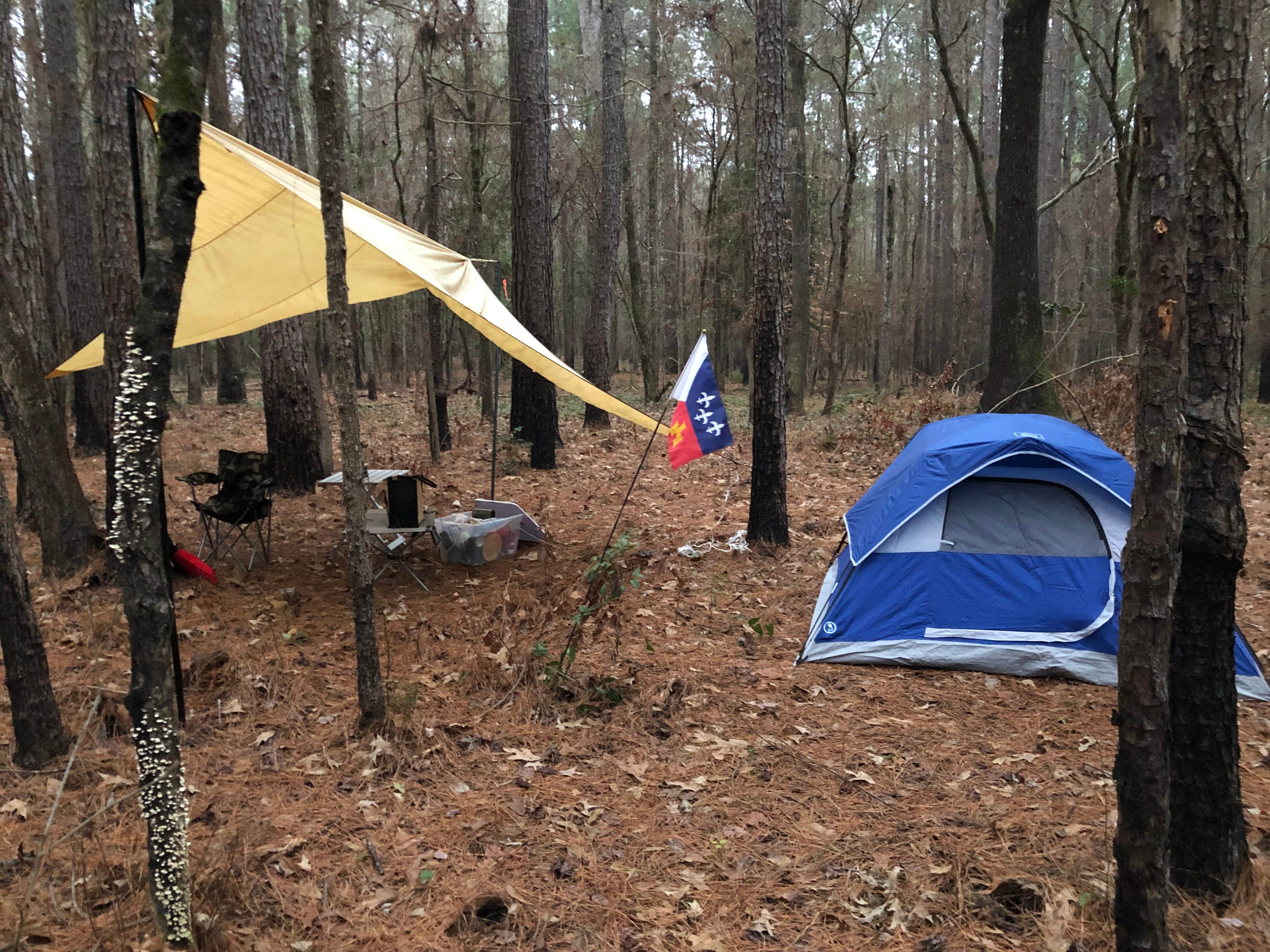 Thomas M.'s photo of tent camping at Saddle Bayou Camp Complex near Lecompte, LA