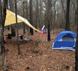 Camper-submitted photo from Saddle Bayou Camp Complex