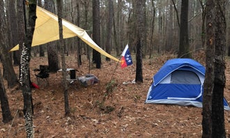 Camping near Military Park Camp Beauregard Twin Lakes Recreation Area: Saddle Bayou Camp Complex, Bentley, Louisiana