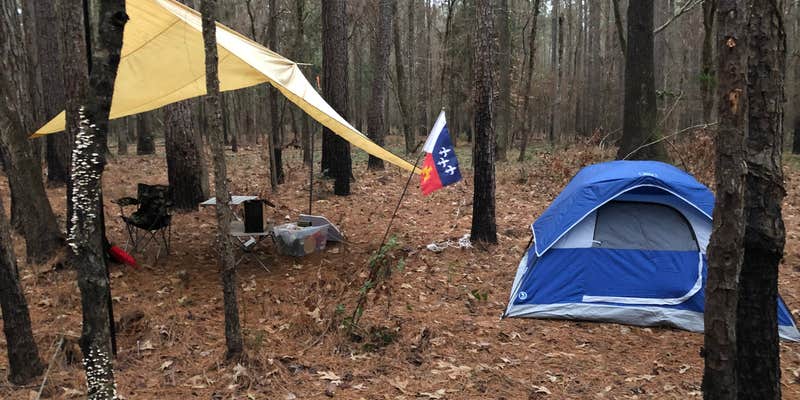 Camper submitted image from Saddle Bayou Camp Complex