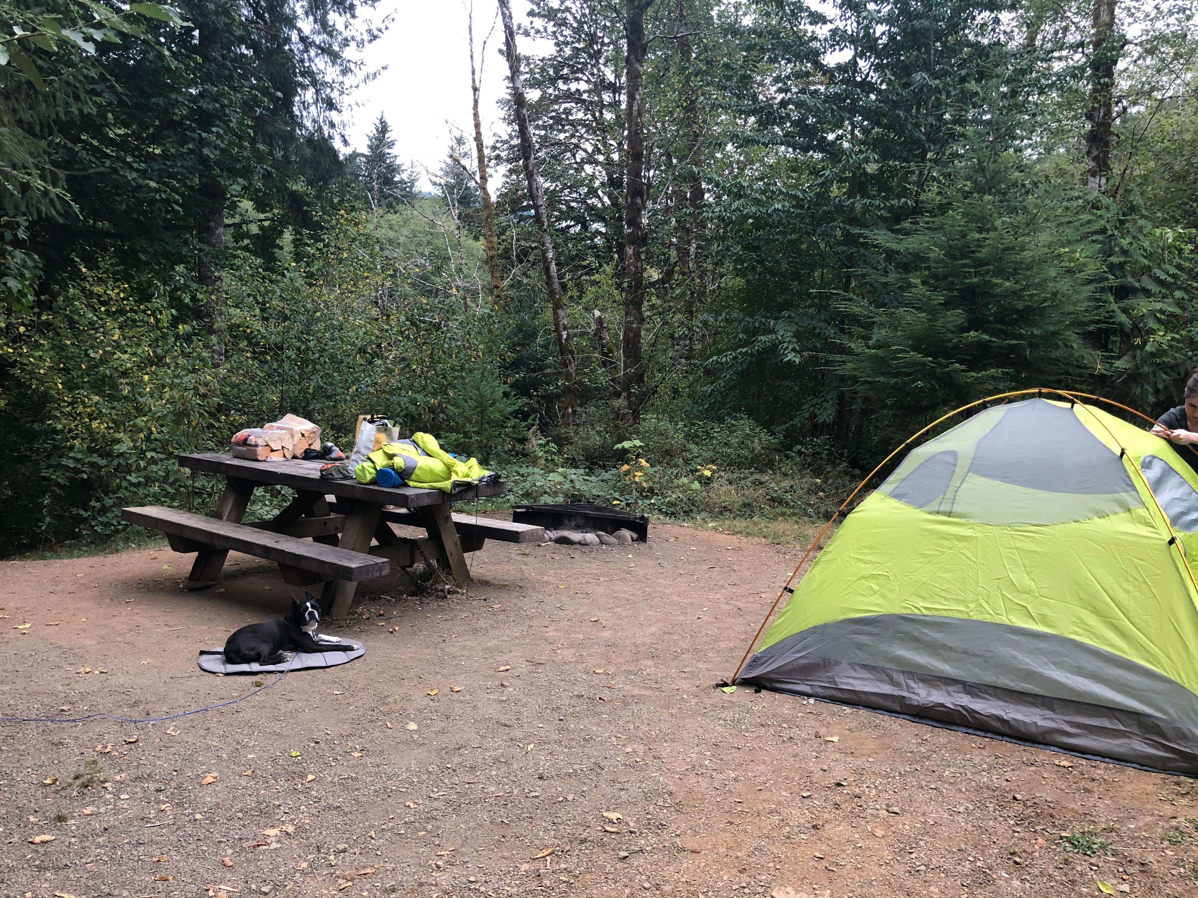 Justin P.'s photo of tent camping at Keenig Creek Campground near Beaverton, OR