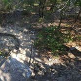 Review photo of Turner Falls Park by Brian E., August 6, 2017