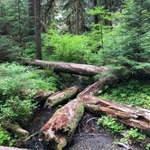 Review photo of Sol Duc Hot Springs Resort Campground — Olympic National Park by Pamela L., September 12, 2019