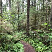 Review photo of Sol Duc Hot Springs Resort Campground — Olympic National Park by Pamela L., September 12, 2019