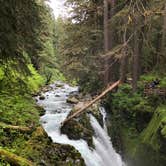 Review photo of Sol Duc Hot Springs Resort Campground — Olympic National Park by Pamela L., September 12, 2019