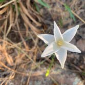 Review photo of Inks Lake State Park Campground by Troy W., September 12, 2019