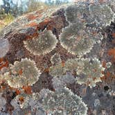 Review photo of Inks Lake State Park Campground by Troy W., September 12, 2019