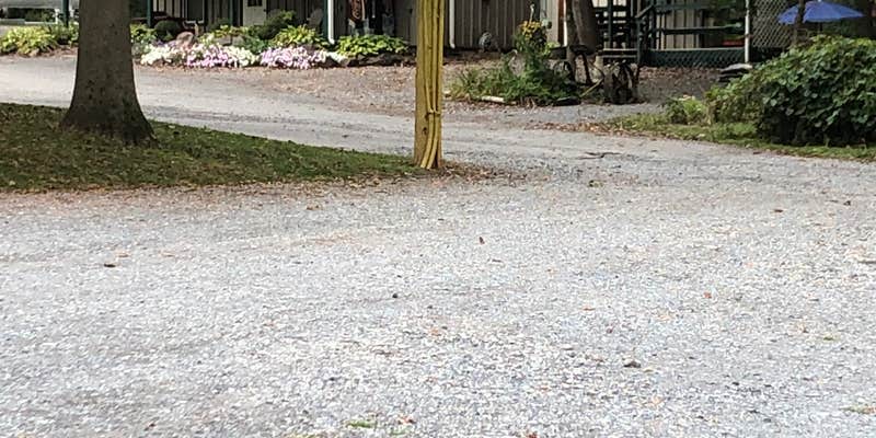 Camper submitted image from Pinch Pond Family Campground & RV Park