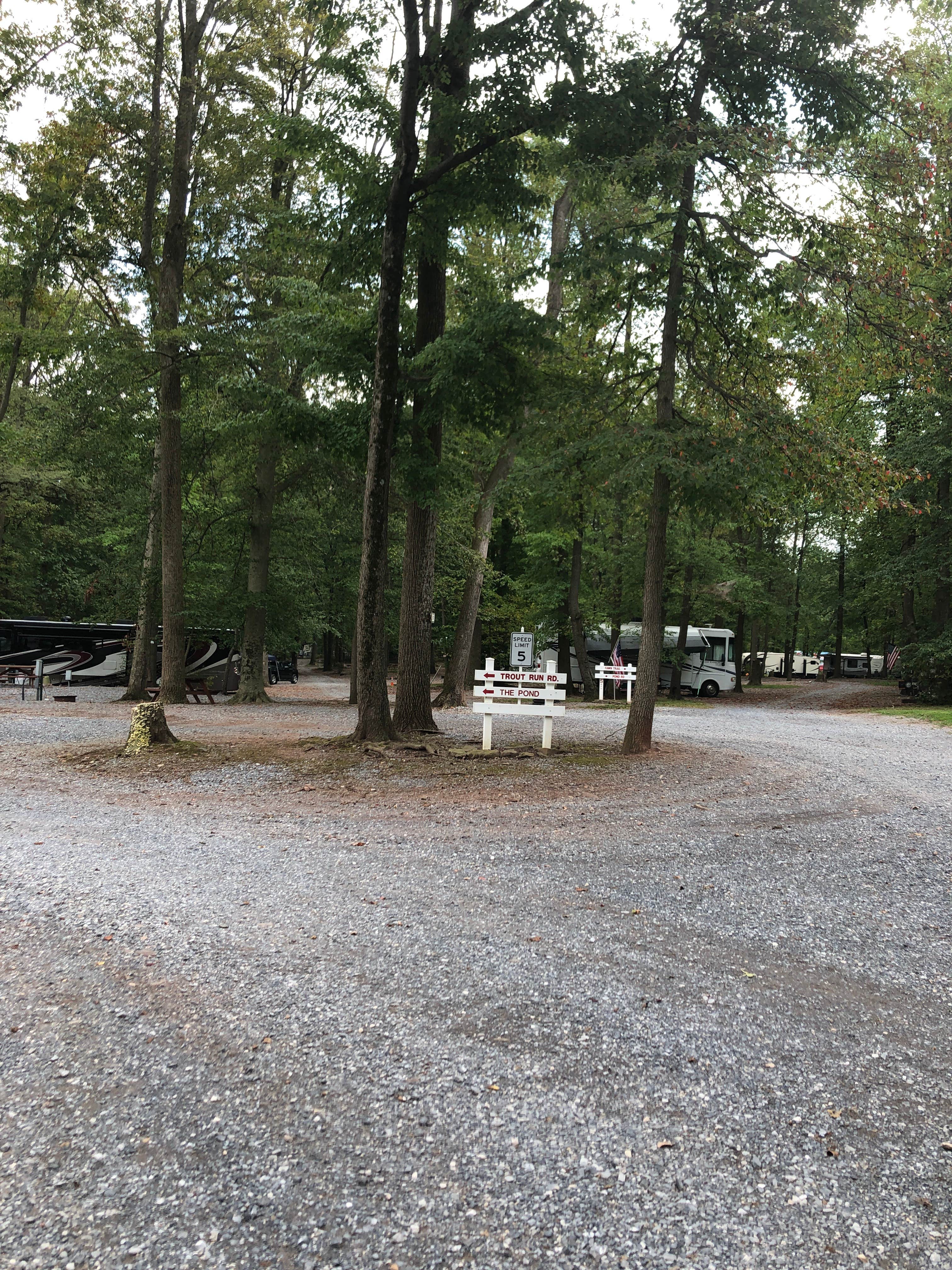 Camper submitted image from Pinch Pond Family Campground & RV Park - 3