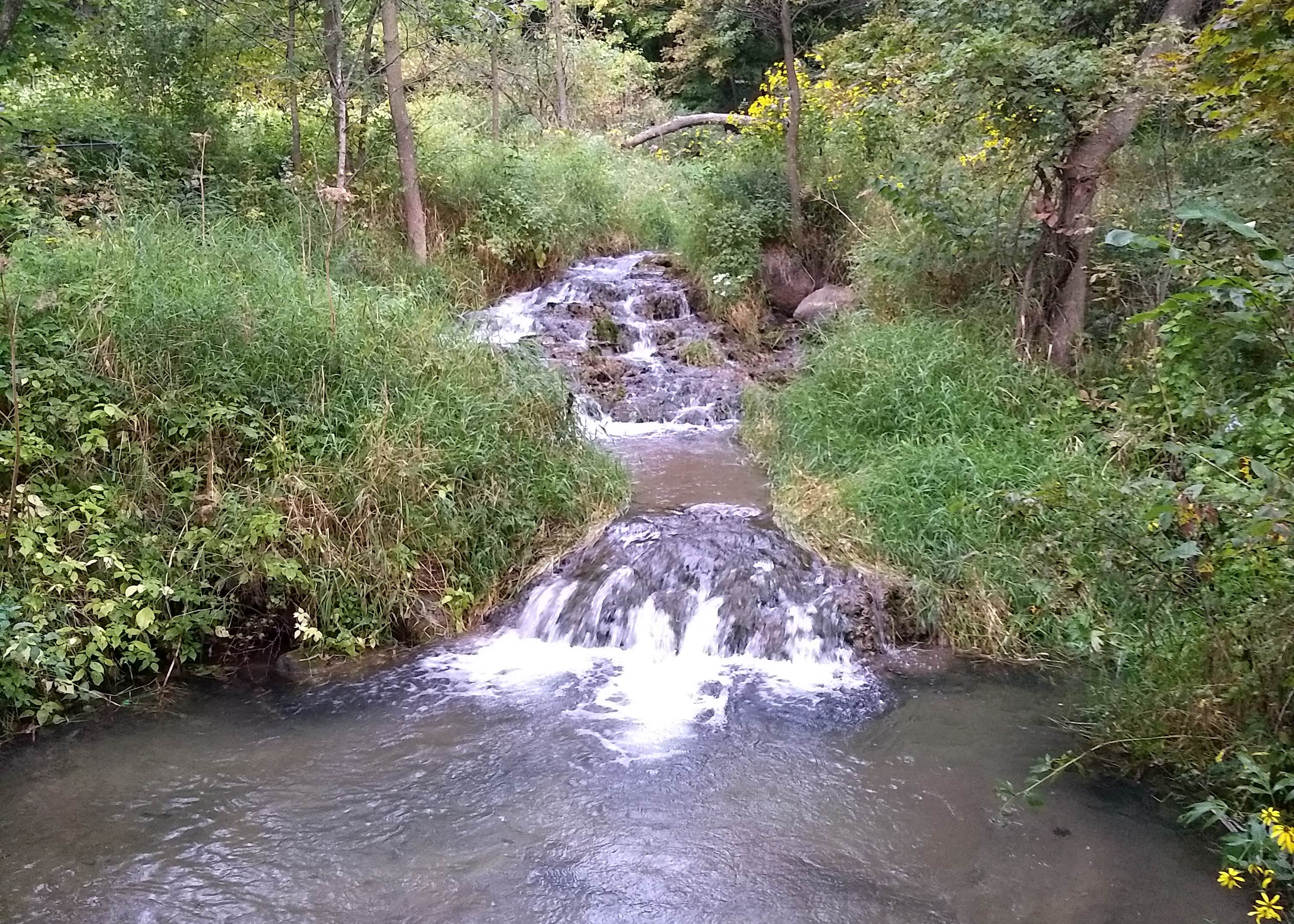 Camden State Park Camping | The Dyrt