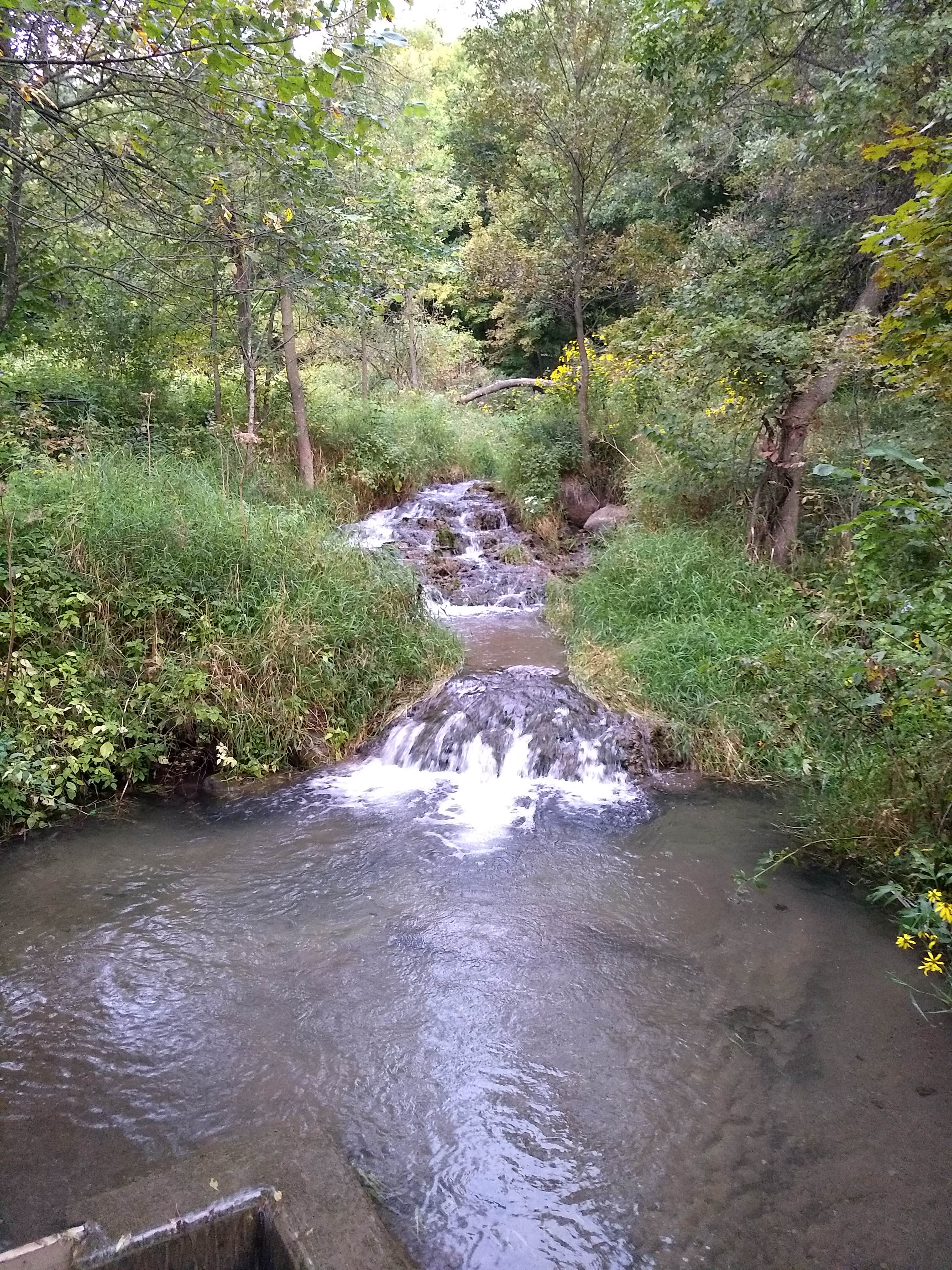 Camper submitted image from Camden State Park Campground - 1