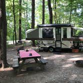 Review photo of Taughannock Falls State Park Campground by Steve W., September 12, 2019