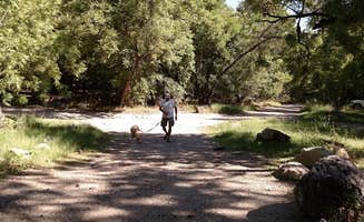Kathleen M.'s photo of camping with pets at Peppersauce Campground near Catalina, AZ