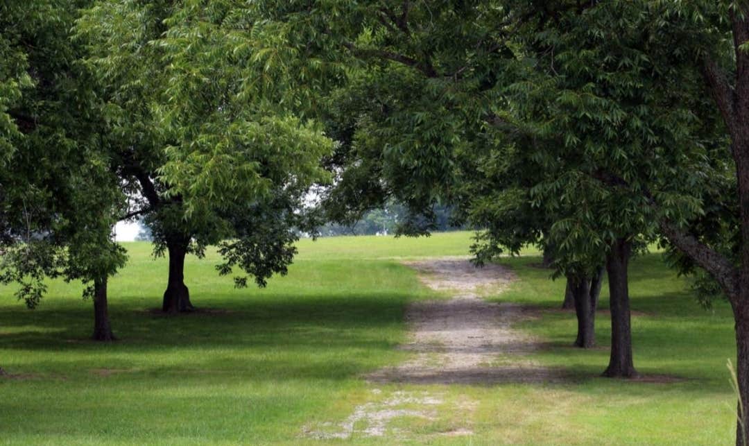 Camping near Atlanta South RV Resort: Atlanta Motor Speedway, Hampton, Georgia