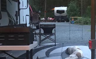 Jeff G.'s photo of camping with pets at Hill & Hollow Campground & RV Park near Custer, MI