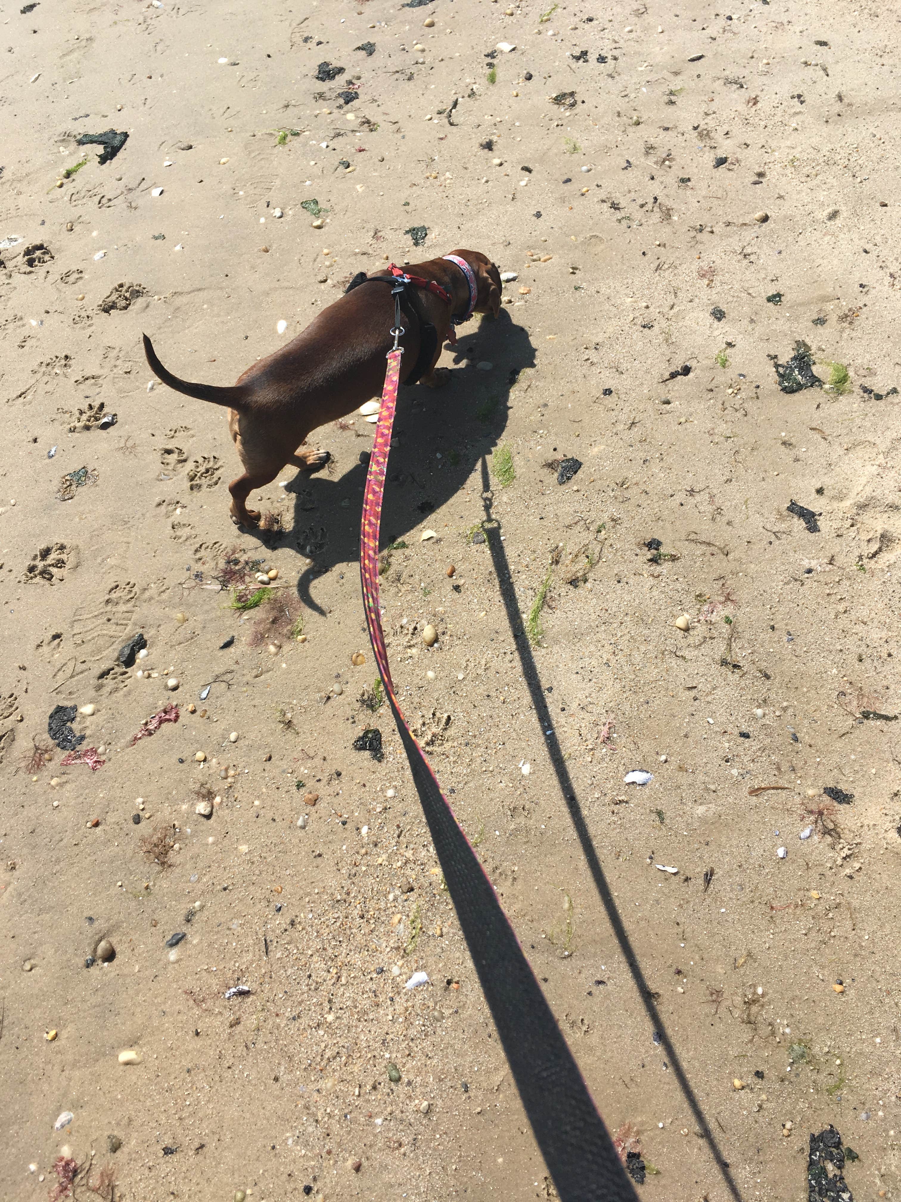 Camper-submitted photo at Indian Lake Islands Campground near Blue Mountain Lake, NY