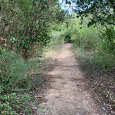 Review photo of Blanco State Park Campground by Tim J., September 13, 2019