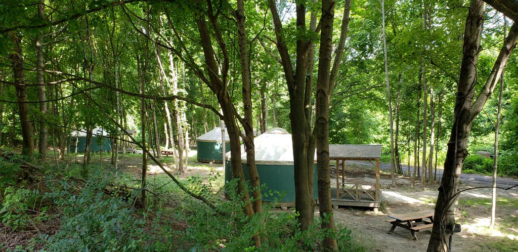Camper submitted image from Boston Harbor Islands State Park Campground - 3