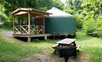 Jean C.'s photo of tent camping at Boston Harbor Islands State Park Campground near Mansfield Center, MA