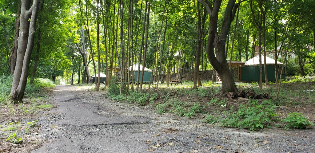 Jean C.'s photo of tent camping at Boston Harbor Islands State Park Campground near Newton, MA