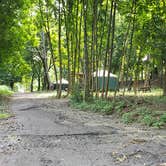 Review photo of Boston Harbor Islands State Park Campground by Jean C., September 13, 2019