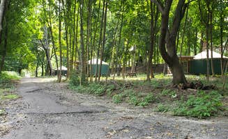 Jean C.'s photo of tent camping at Boston Harbor Islands State Park Campground near Brockton, MA