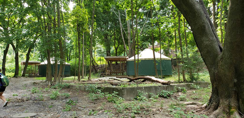 Jean C.'s photo at Boston Harbor Islands State Park Campground near Norfolk, MA