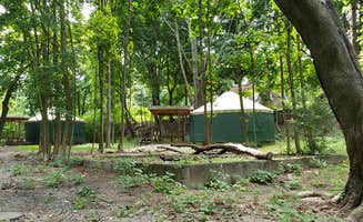 Jean C.'s photo of tent camping at Boston Harbor Islands State Park Campground near Fayville, MA