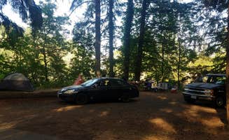 Tj B.'s photo at Schwarz Park near Dorena Lake