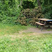 Review photo of Boston Harbor Islands State Park Campground by Jean C., September 13, 2019