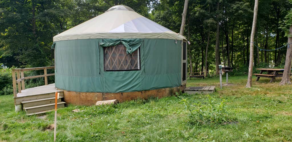 Jean C.'s photo of tent camping at Boston Harbor Islands State Park Campground near West Boylston, MA