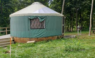 Jean C.'s photo of tent camping at Boston Harbor Islands State Park Campground near Shirley, MA