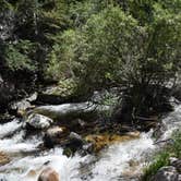 Review photo of Baker Creek Campground — Great Basin National Park by Samantha M., June 29, 2016