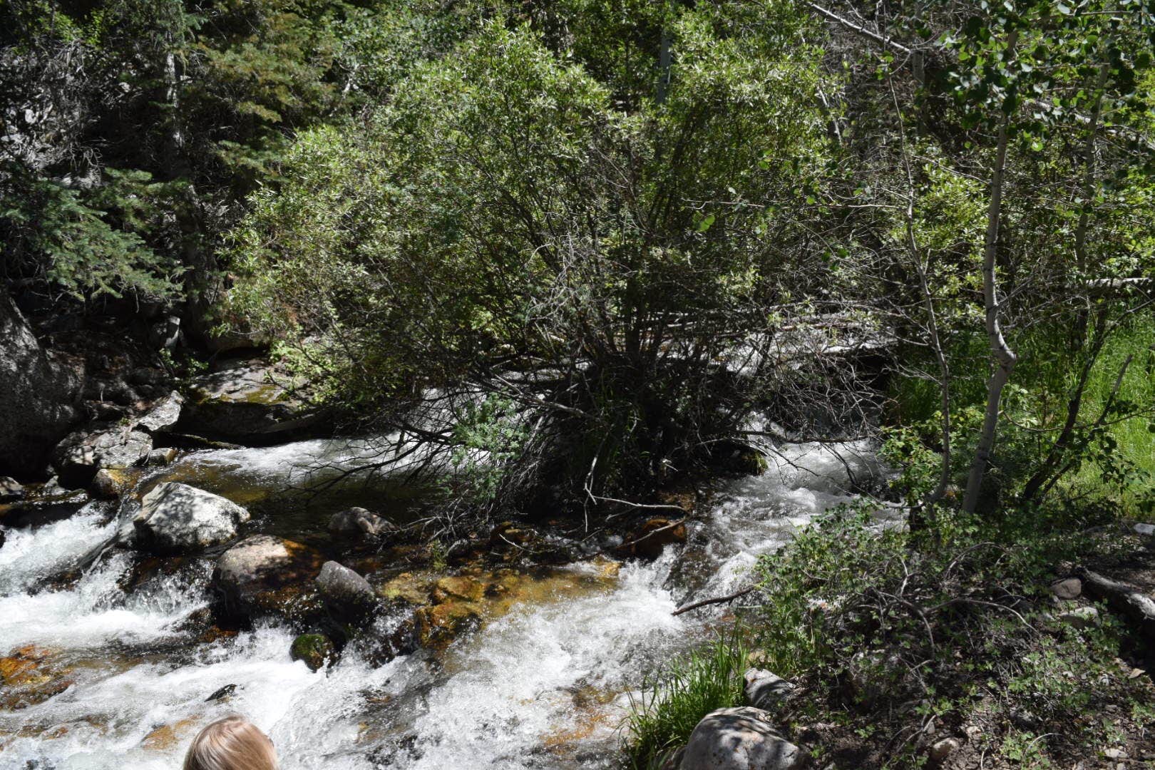 Camper submitted image from Baker Creek Campground — Great Basin National Park - 5
