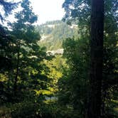 Review photo of COE Dorena Reservoir Schwarz Campground by Tj B., August 6, 2017