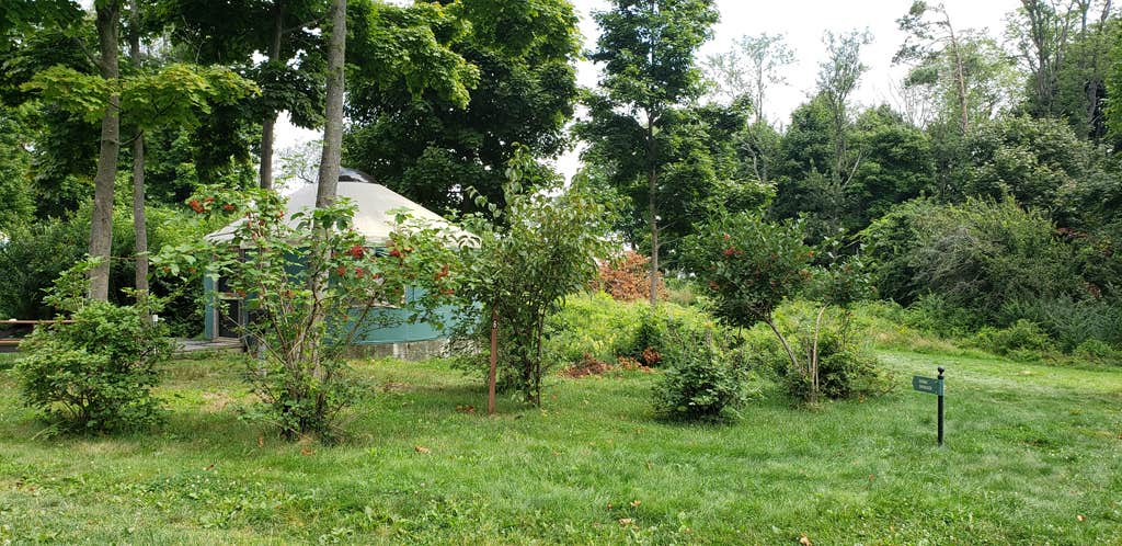 Camper-submitted photo at Boston Harbor Islands State Park Campground near Rockland, MA