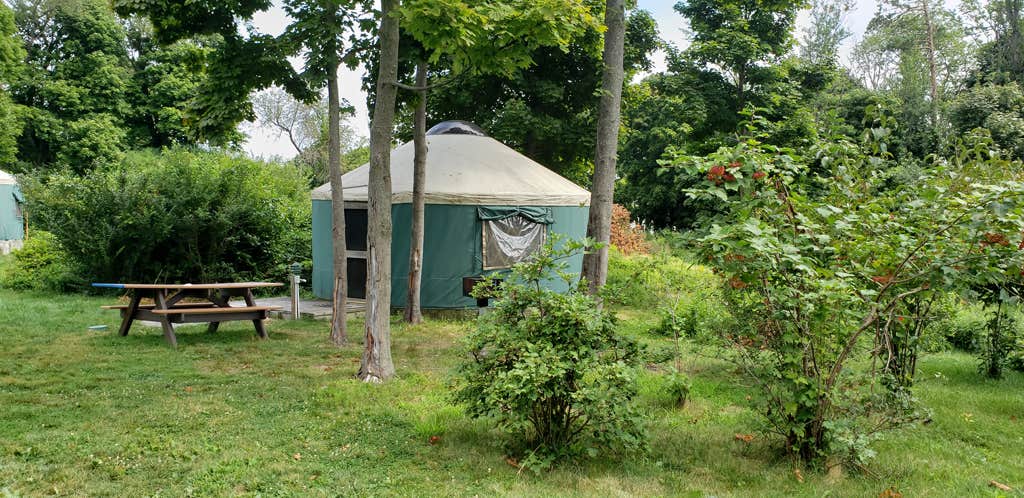 Jean C.'s photo of tent camping at Boston Harbor Islands State Park Campground near Concord, MA