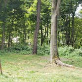 Review photo of Boston Harbor Islands State Park Campground by Jean C., September 13, 2019