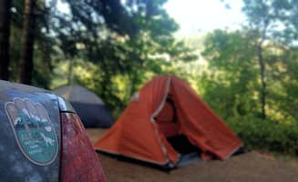 Tj B.'s photo at COE Dorena Reservoir Schwarz Campground near Dexter, OR