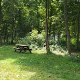 Review photo of Boston Harbor Islands State Park Campground by Jean C., September 13, 2019