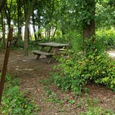 Review photo of Boston Harbor Islands State Park Campground by Jean C., September 13, 2019