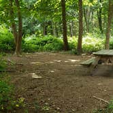 Review photo of Boston Harbor Islands State Park Campground by Jean C., September 13, 2019