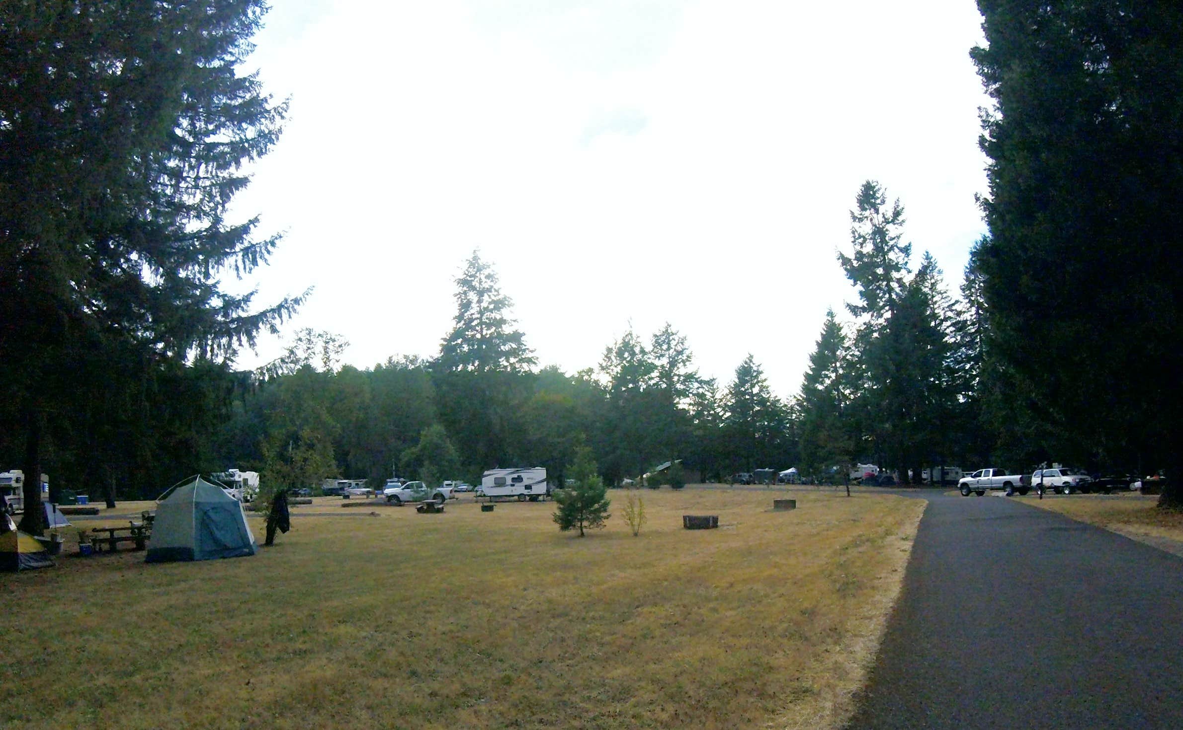 Tj B.'s photo at COE Dorena Reservoir Schwarz Campground near Dexter, OR